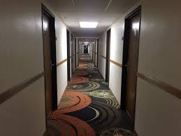 hallway beautiful clean new carpet