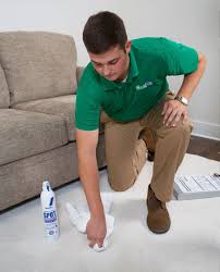 specialty carpet stain removal
