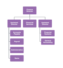 Accounting Department Organizational Chart Template Lucidchart