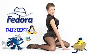Org what is sandra orlow early full sets? Sandra Model Papel Fedora Promo Gimp Linux 1920x1200 00 Flickr