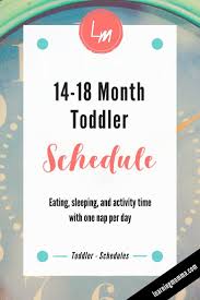 2 Year Old Nap Schedule Examples And Forms