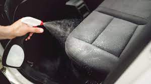 get mold out of car interior and carpet