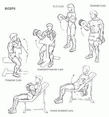 Bicep Workouts For Men Top Ten Indian Bodybuilders Mens