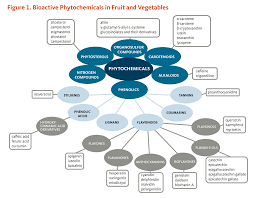 figure 1 bioactive phytochemicals in fruit and vegetables organosulfur pounds alliin gamma