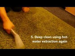 how to clean fake blood from carpet