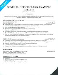 Sales Clerk Resume Sample Resume For Payroll Assistant Resume Sales