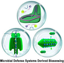 Microbial Defense Systems