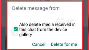 whatsapp message also delete a