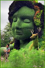 Living Plant Sculptures Blog And