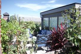 Roof Garden In Nyc To Grow Fruits