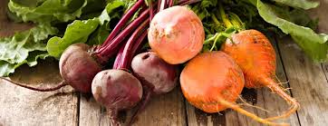 Types Of Beets Chioggia Golden Beets White Beets