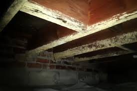cleaning your crawl space the why who