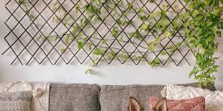 13 diy plant wall ideas to try in your
