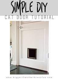 Diy Cat Door For An Interior Door