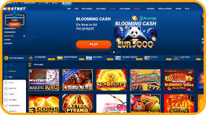 No More Mistakes With Mostbet: Enjoy Nonstop Fun with Your Favorite Casino Games - Amity Computer Academy