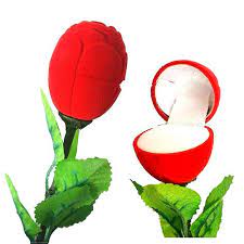This ad will close in 10 seconds. Buy Bg Bazzar Gali Women S Velvet Red Rose Ring Box Without Ring Online At Low Prices In India Amazon Jewellery Store Amazon In
