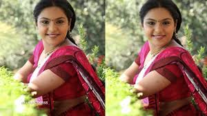 Seetha kalyanam is a family drama serial, dhanya playing the role of seetha. Parasparam Serial Actress Name And Details Extraefirao