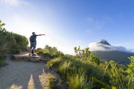 Sneak away to meet your mistress. Easy Cape Town Table Mountain Hike And Photo Walk Guided Tour 2017