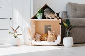 comment construire une maison pour chat