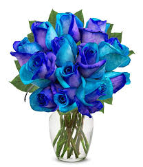 one dozen ocean blue roses at from you