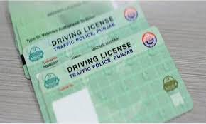paperless driving license system