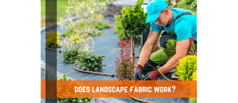 Does Landscape Fabric Or Ground Cover