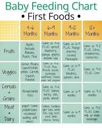 2 to 3 years baby food chart