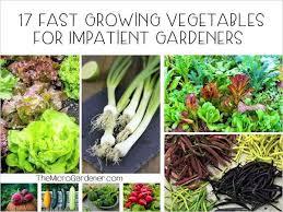 17 fast growing vegetables for