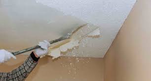 how to remove mold from popcorn ceiling