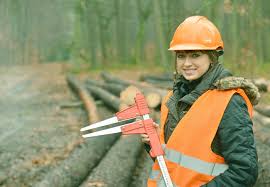Career In Forestry: Scope, Jobs, Courses, Salary