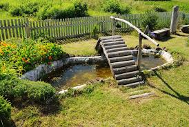 Small Garden Pond With Wooden Bridge