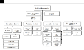 Sample Chart For Ics Organization Free Download