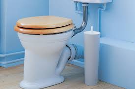 how to maintain the toilet australian