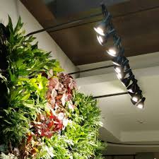 Lighting Guide For Living Walls Plants On Walls