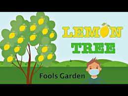 fool s garden lemon tree animated