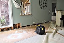 lujan s carpet cleaning home page
