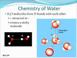 Draw the molecular interactions associated with the predict how ethanol would interact with those molecules. Why Are We Studying Water Ppt Download