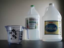 Vinegar For Aquarium Cleaning
