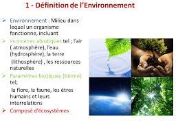 management de l environnement ppt