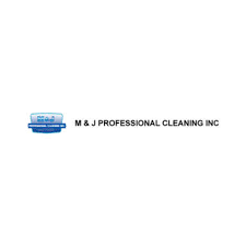 9 best brandon carpet cleaners