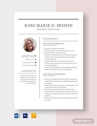 To secure a challenging position in an organization, where i can effectively contribute my skill and full potential as well as for the welfare and development of the organization. 16 Executive Resume Templates Pdf Doc Apple Pages Free Premium Templates