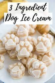 dog ice cream a frosty paws copycat