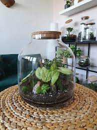 Forest In A Jar Terrarium Jar With