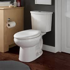Flush Toilets S And Installation