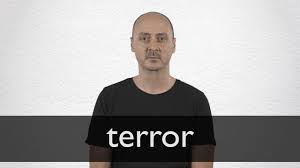 terror definición y significado