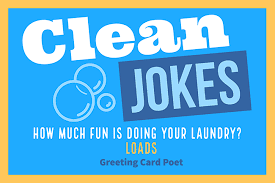 Clean yet good jokes from will and guy. 77 Clean Jokes To Make You Laugh At The Dinner Table