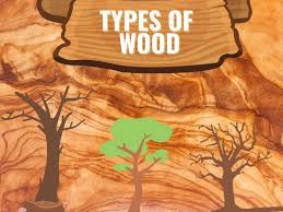 woods in india for making furniture
