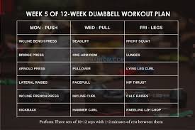 12 week dumbbell workout plan with free pdf