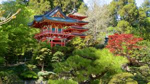 anese tea garden in golden gate