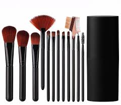 blush professional cosmetic brushes set